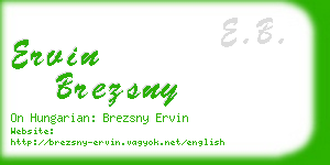 ervin brezsny business card